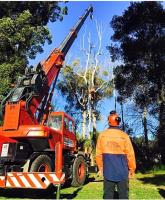 Valley Tree Services image 8